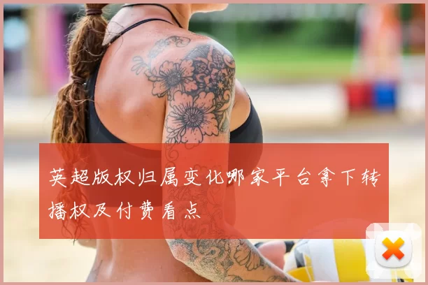 英超版权归属变化哪家平台拿下转播权及付费看点