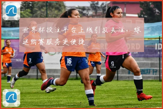 世界杯投注平台上线引发关注,球迷购赛服务更便捷