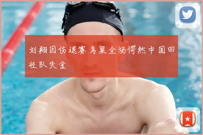 刘翔因伤退赛鸟巢全场愕然中国田径队失金