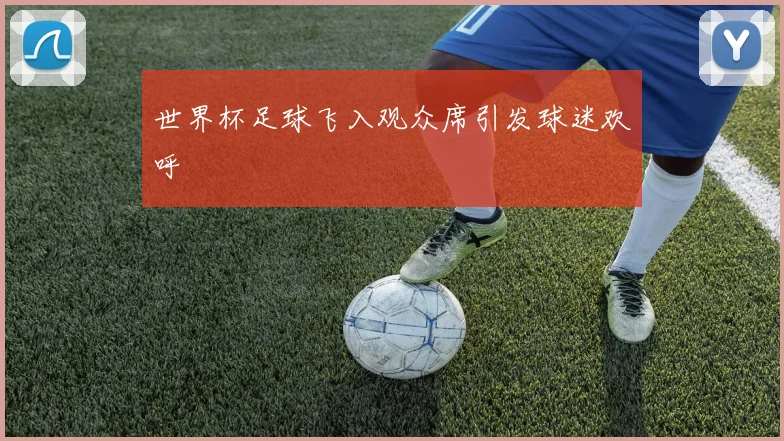 世界杯足球飞入观众席引发球迷欢呼