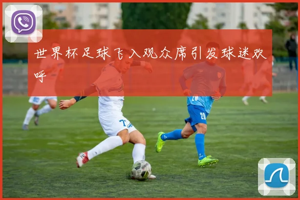世界杯足球飞入观众席引发球迷欢呼
