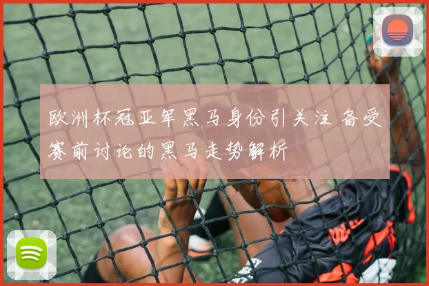 欧洲杯冠亚军黑马身份引关注 备受赛前讨论的黑马走势解析