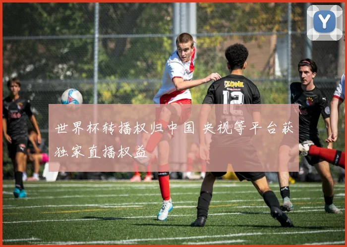 世界杯转播权归中国 央视等平台获独家直播权益