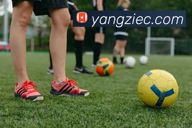 云开·kaiyun(中国)体育官方网站 - 登录入口品牌故事